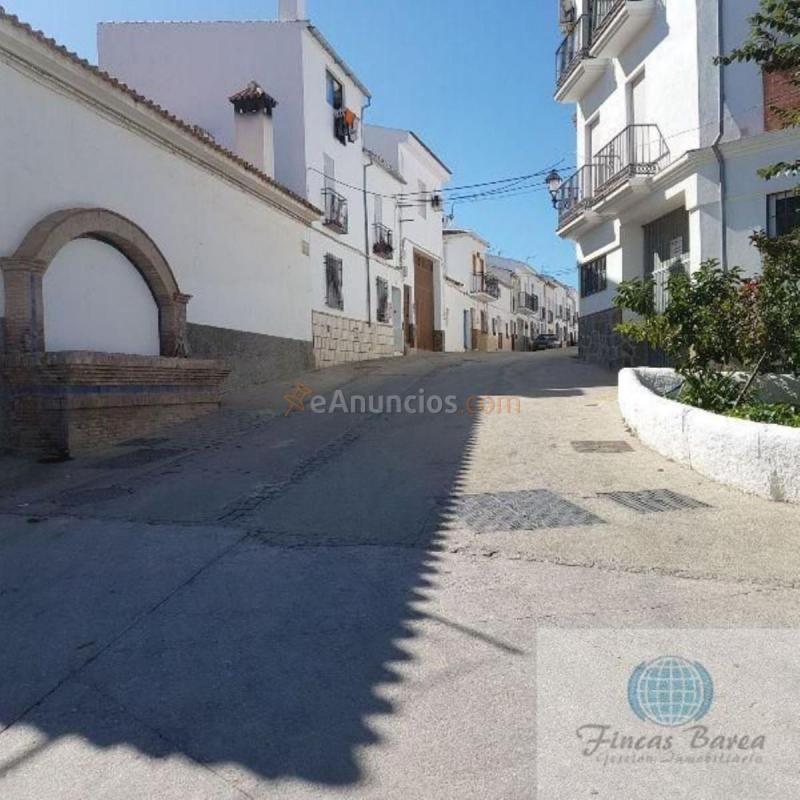 Parcela Rustica en venta en  El Burgo