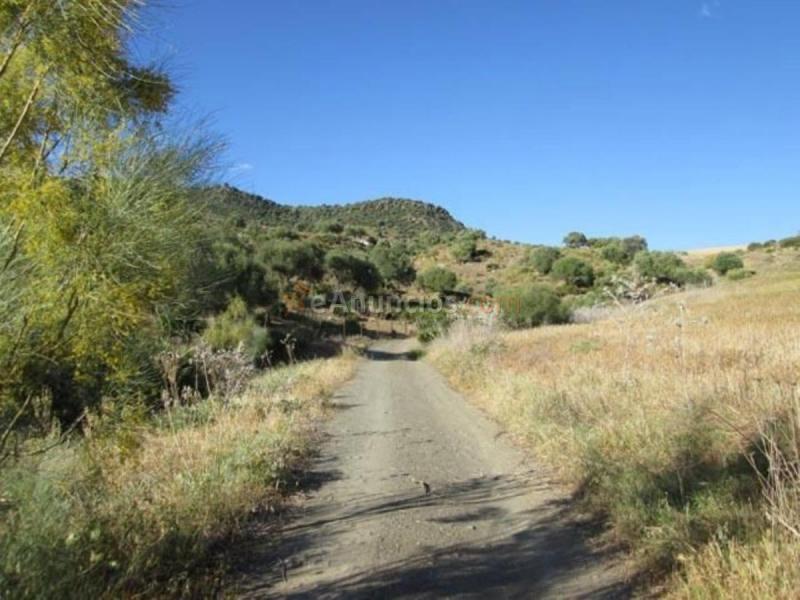 Parcela Rustica en venta en  PAGO LA FISCALIA, Alora