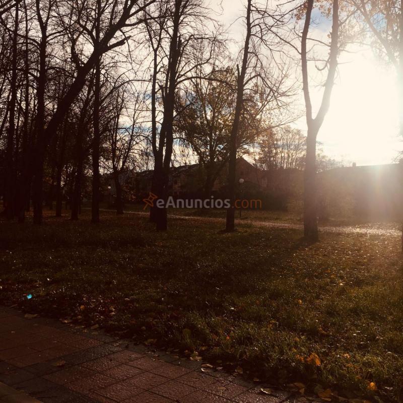 Parcela Rustica en venta en Paseo de la quinta, Zona sur - B Cortes, Burgos