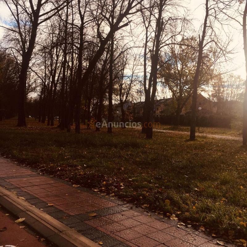 Parcela Rustica en venta en Paseo de la quinta, Zona sur - B Cortes, Burgos
