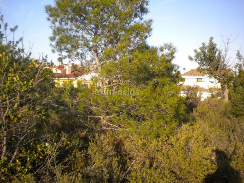 Parcela Rustica en venta en  Riba-Roja de Túria