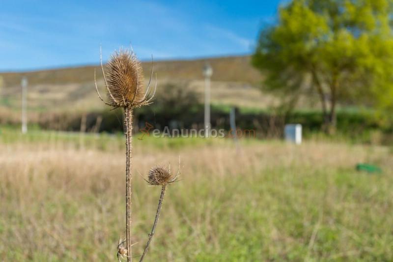 Parcela Rustica en venta en Calle Ue-3.7.1,2 Noain, Noáin (Valle de Elorz)