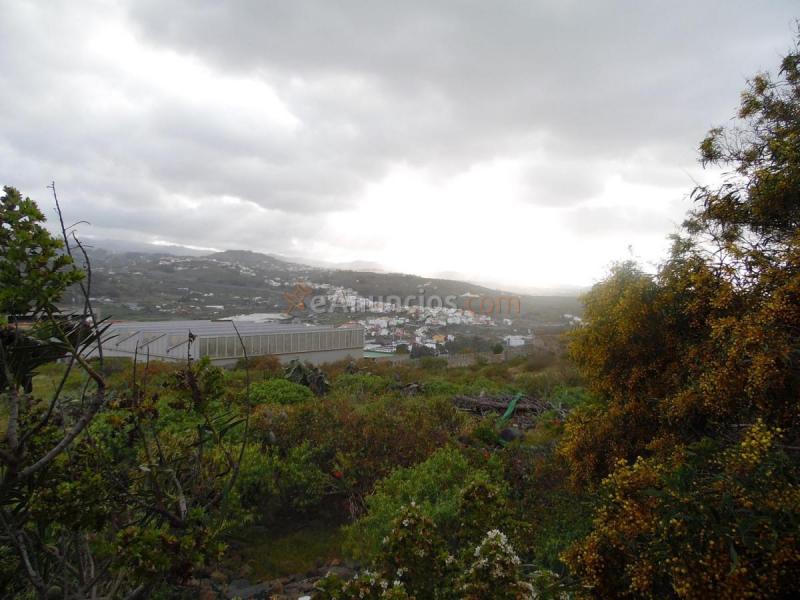 Parcela Rustica en venta en  El Pedregal, Arucas Casco, Arucas