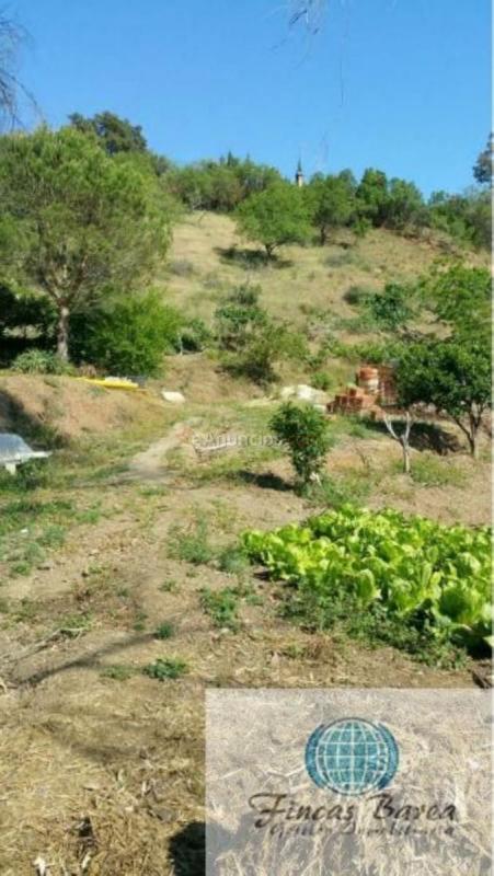 Parcela Rustica en venta en  diseminado atalaya, Mijas Golf, Mijas