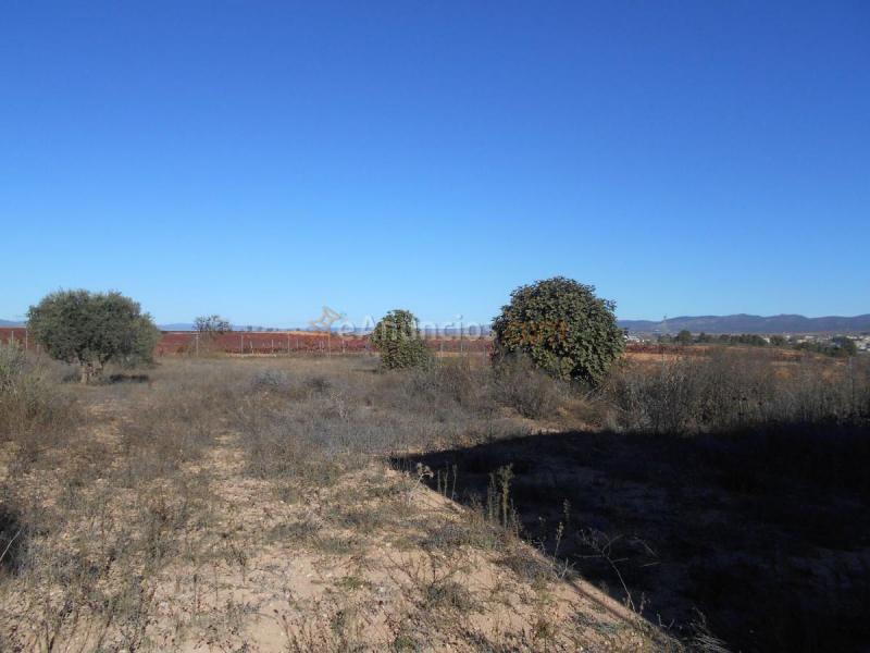 Casa Rural en venta en  Polígono 51 parcela 286, Requena
