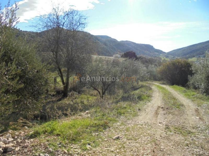 Casa Rural en venta en  Camino Algarrobo - Las Arenas, Vélez-Malaga