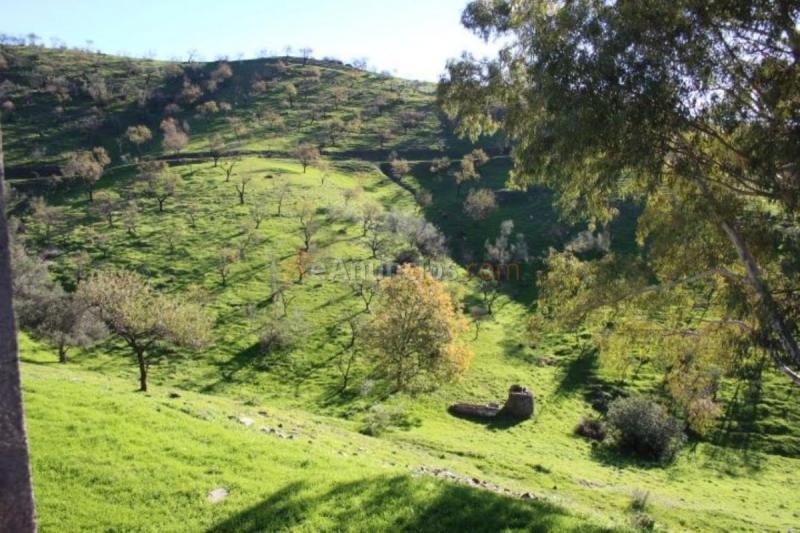 Casa Rural en venta en  Arroyo del Peral, Cártama