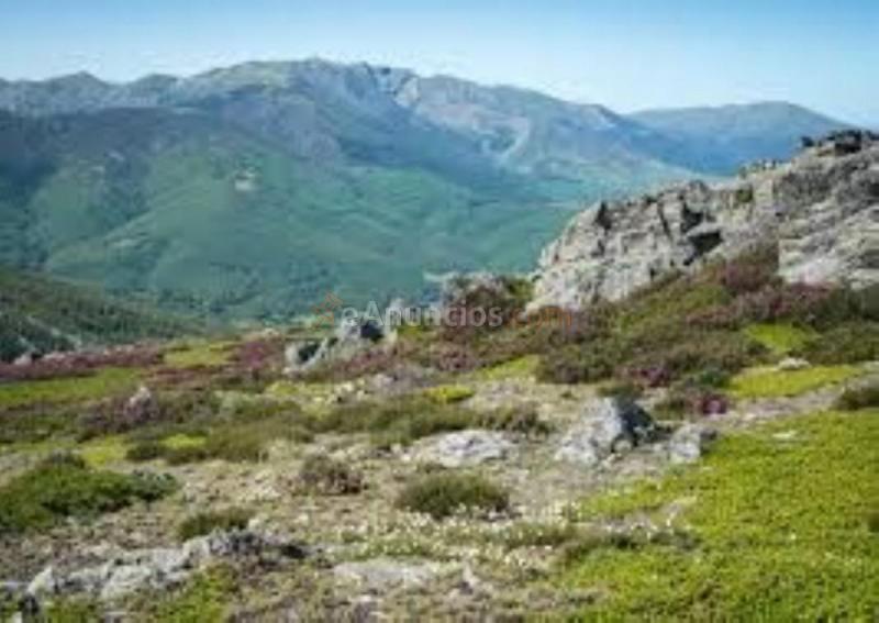 Parcela Rustica en venta en Camino del Castaño, Fresno de Cantespino