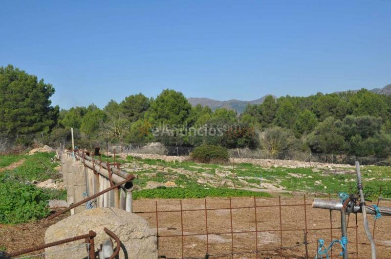Casa Rural en venta en  Arta