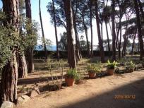 Apartamento en venta en Calle canigo, Torre Valentina-Mas Vilar de La Mutxada-Treumal, Calonge