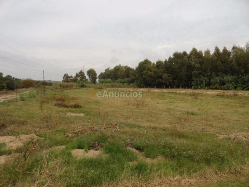 Casa Rural en venta en  37.351853, -6.991682, Gibraleon