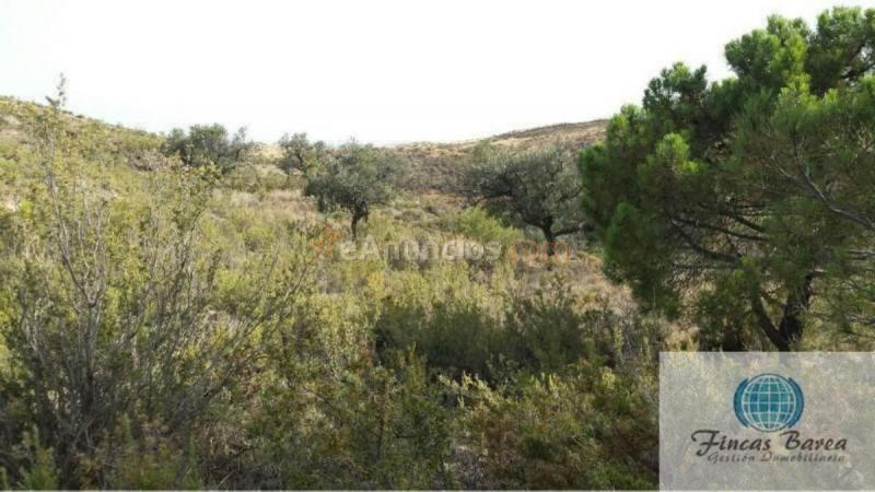 Parcela Rustica en venta en  Mijas Pueblo - Peña Blanquilla, Mijas