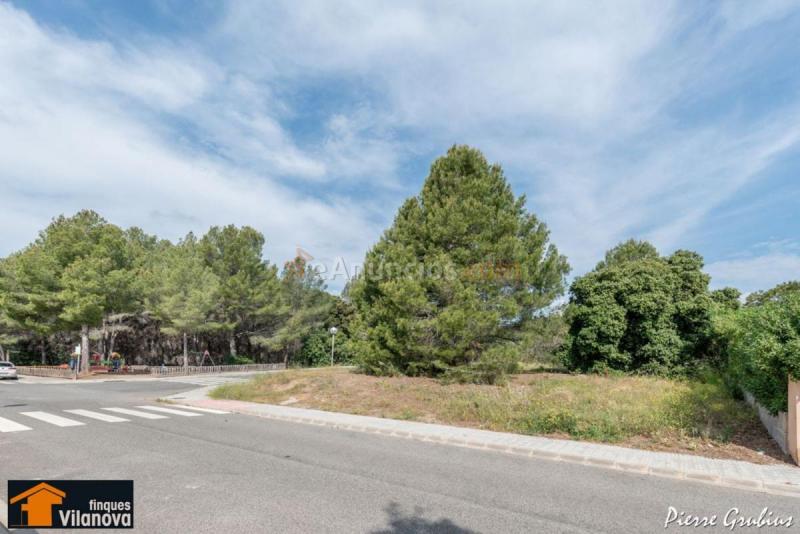 Parcela Rustica en venta en  GLORIETA, Almoster