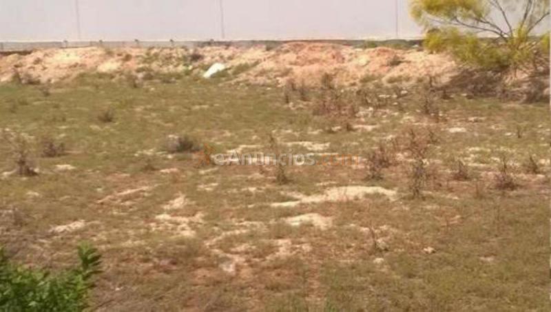 Parcela Rustica en venta en  Polígono Industrial Las Viñas, Mollina