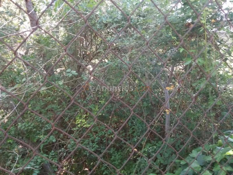 Parcela Rustica en venta en Calle Santa Bárbara, Rocafort