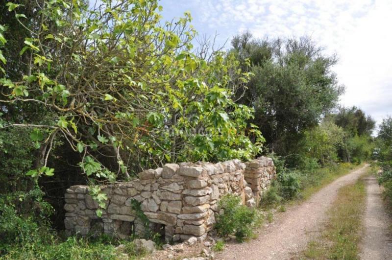 Casa Rural en venta en  Capdepera