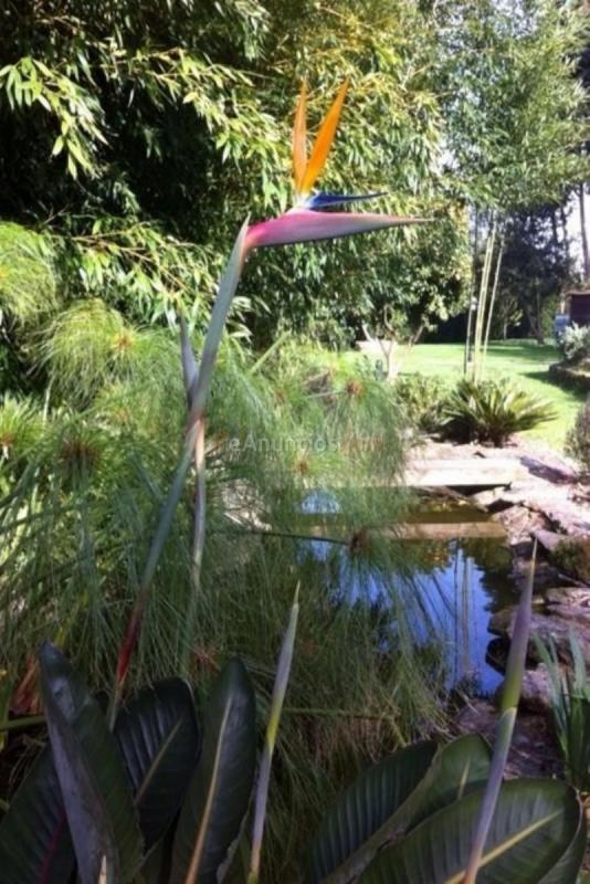 Adosado en venta en  Campo Da Torre - Mollabao, Pontevedra