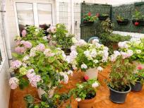 Apartamento en venta en  Centro, Gijón