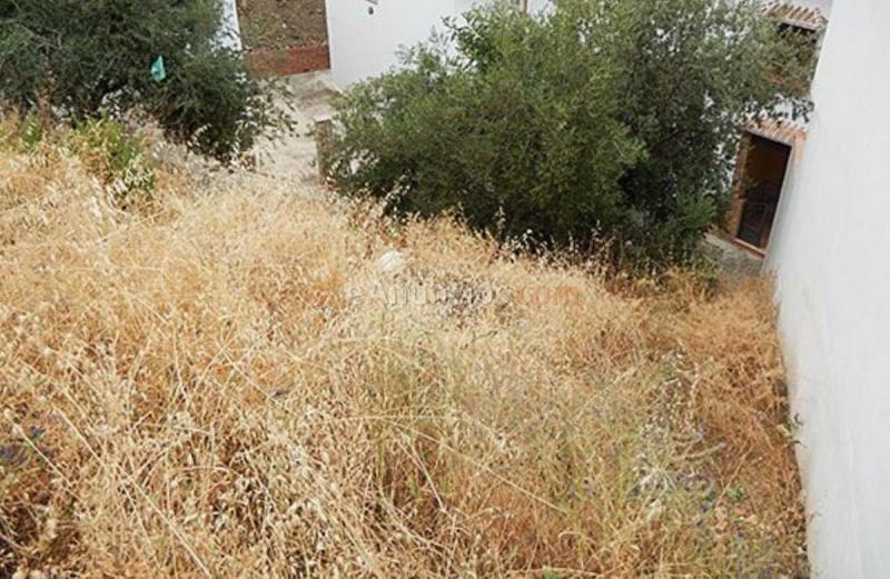 Parcela Rustica en venta en  OLIVO, Almáchar