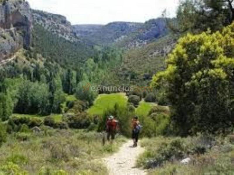 Parcela Rustica en venta en  Colonia las Margaritas, Riaza