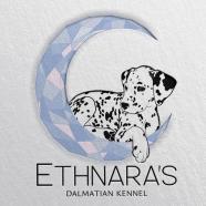 Ethnara's Dalmatas