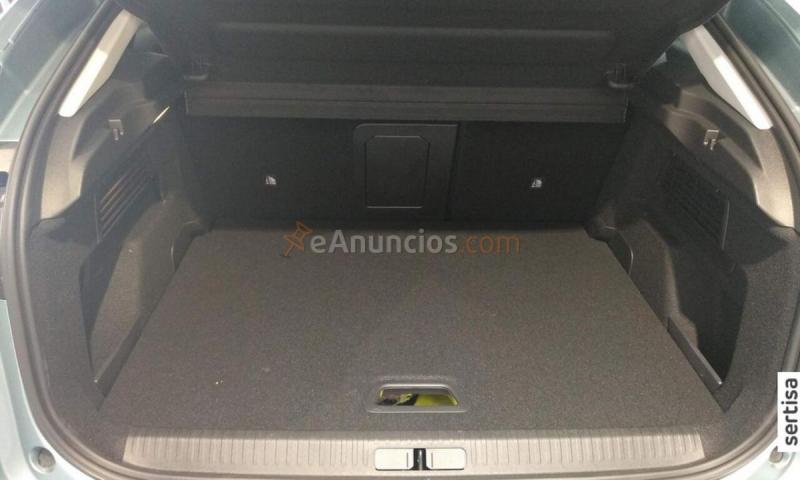 Citron -C4 MOTOR ELÉCTRICO 1OO KW SHINE 100KW Eléctrico