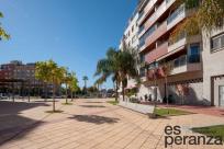 Local comercial en Alquiler en Murcia Murcia