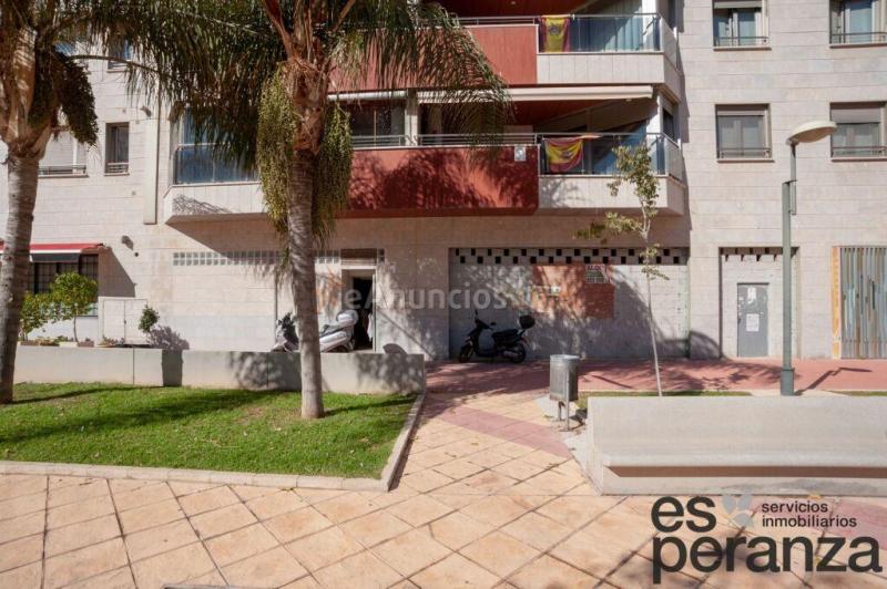 Local comercial en Alquiler en Murcia Murcia