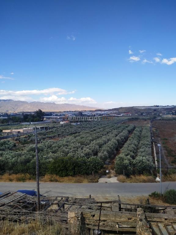 Suelo rústico en Venta en Huercal De Almeria Almería