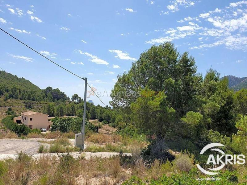 Parcela rústica, oportunidad en Benissa