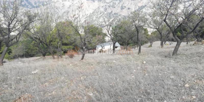 Terreno en venta en Nigüelas de 32720 m2