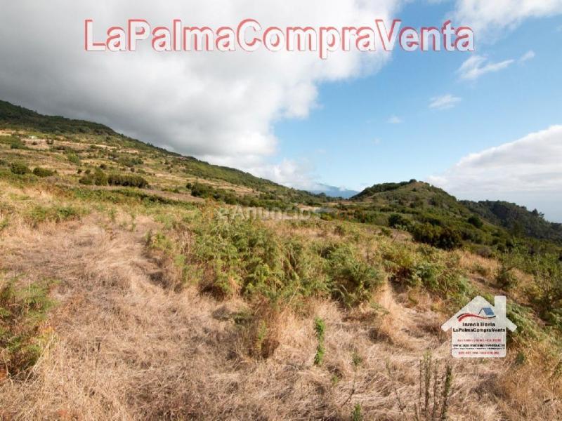 Solar residencial en Venta en Villa De Mazo Santa Cruz de Tenerife