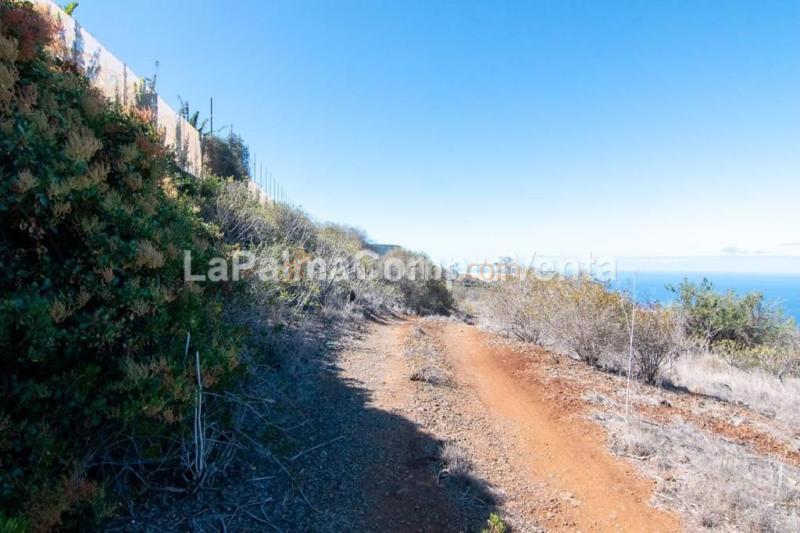 Suelo rústico en Venta en Tijarafe Santa Cruz de Tenerife