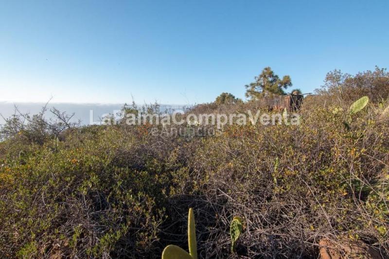 Suelo urbanizable en Venta en Puntagorda Santa Cruz de Tenerife