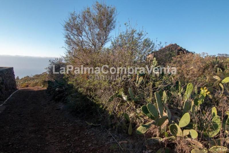 Suelo urbanizable en Venta en Puntagorda Santa Cruz de Tenerife