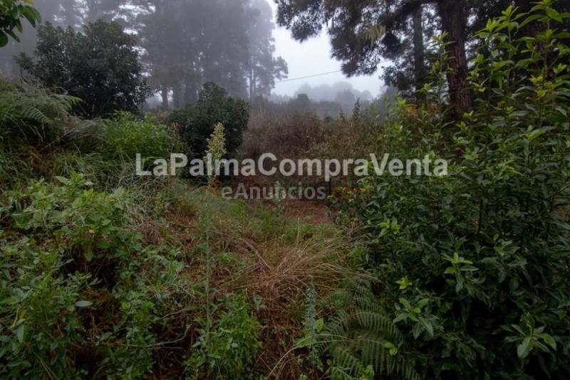 Suelo rústico en Venta en Roque Faro Santa Cruz de Tenerife