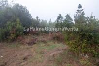 Suelo rústico en Venta en Roque Faro Santa Cruz de Tenerife