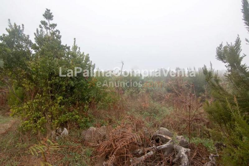 Suelo rústico en Venta en Roque Faro Santa Cruz de Tenerife