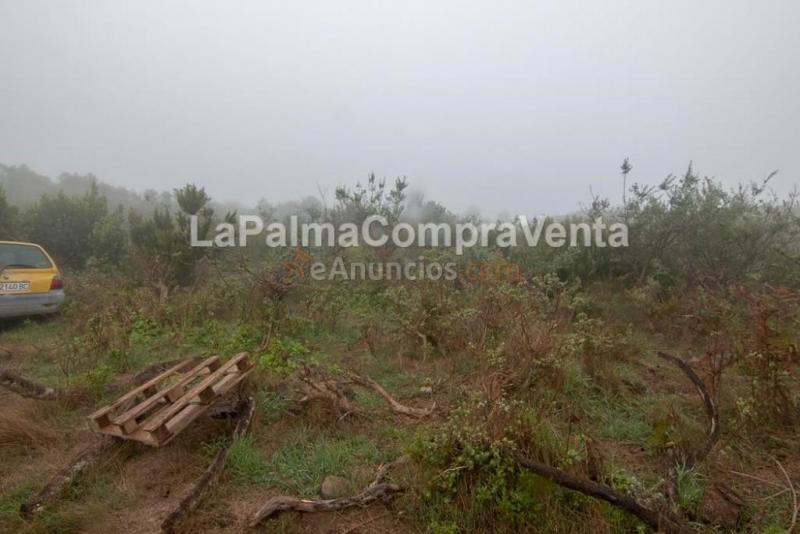 Suelo rústico en Venta en Roque Faro Santa Cruz de Tenerife