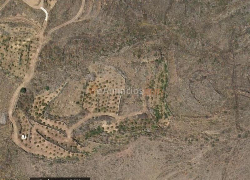 Suelo rústico en Venta en Villa De Mazo Santa Cruz de Tenerife