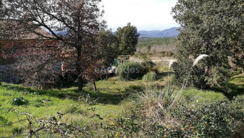 Suelo urbanizable en Venta en Sils Girona