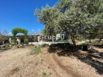 Fantástica finca con casa y piscina en la Galera