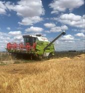 Cosechadora Claas Dominator 88 SL