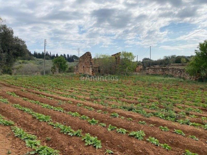 Finca a rehabilitar con agua y luz en entorno idílico