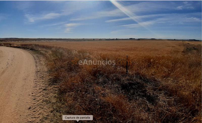 Finca rustica de secano 2 ha 32 a 65 ca