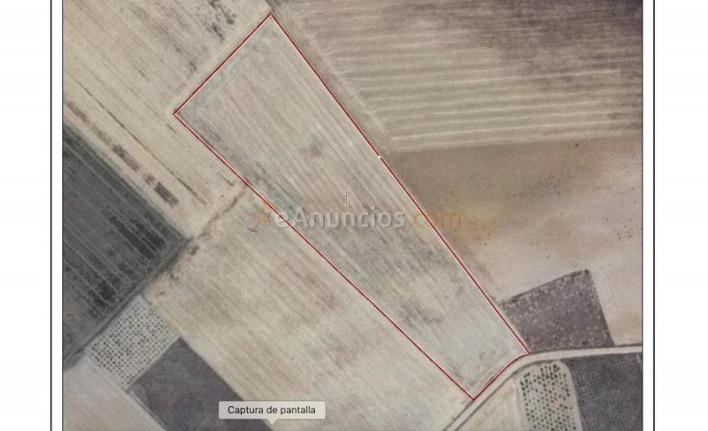 Finca rustica de secano 2 ha 32 a 65 ca