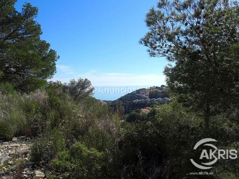 PARCELA CON VISTAS AL MAR EN ALTEA HILLS