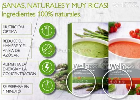 Batidos y Sopas para Adelgazar