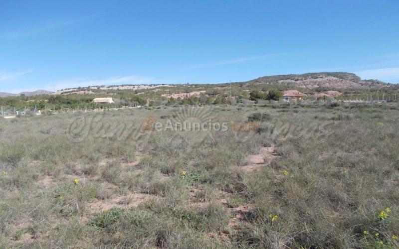 Casa de campo-Masía en Venta en Yecla Murcia