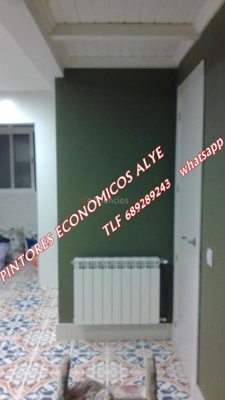 pintores economicos en fuenlabrada 689289343